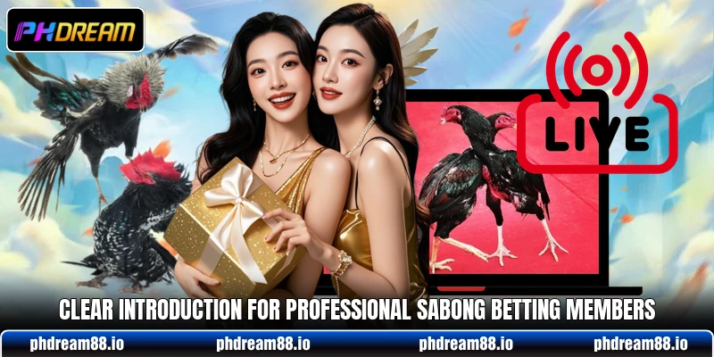 Clear introduction for Professional Sabong betting members
