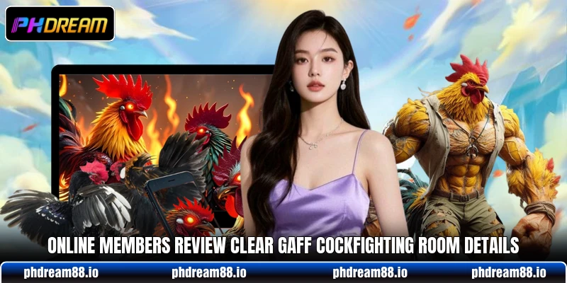 Online members review clear Gaff Cockfighting room details Online members review clear Gaff Cockfighting room details