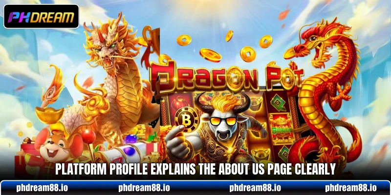 Platform profile explains the about us page clearly