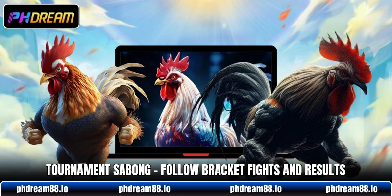 Tournament Sabong - Follow Bracket Fights And Results